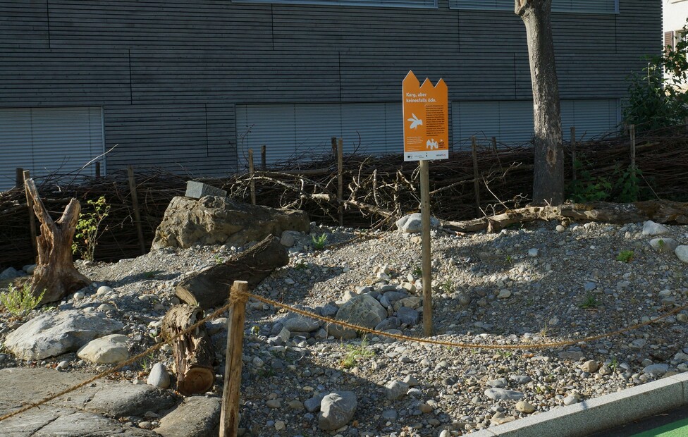 erste öffentliche Fläche in Reinach: Ruderalfläche mit Benjeshecke