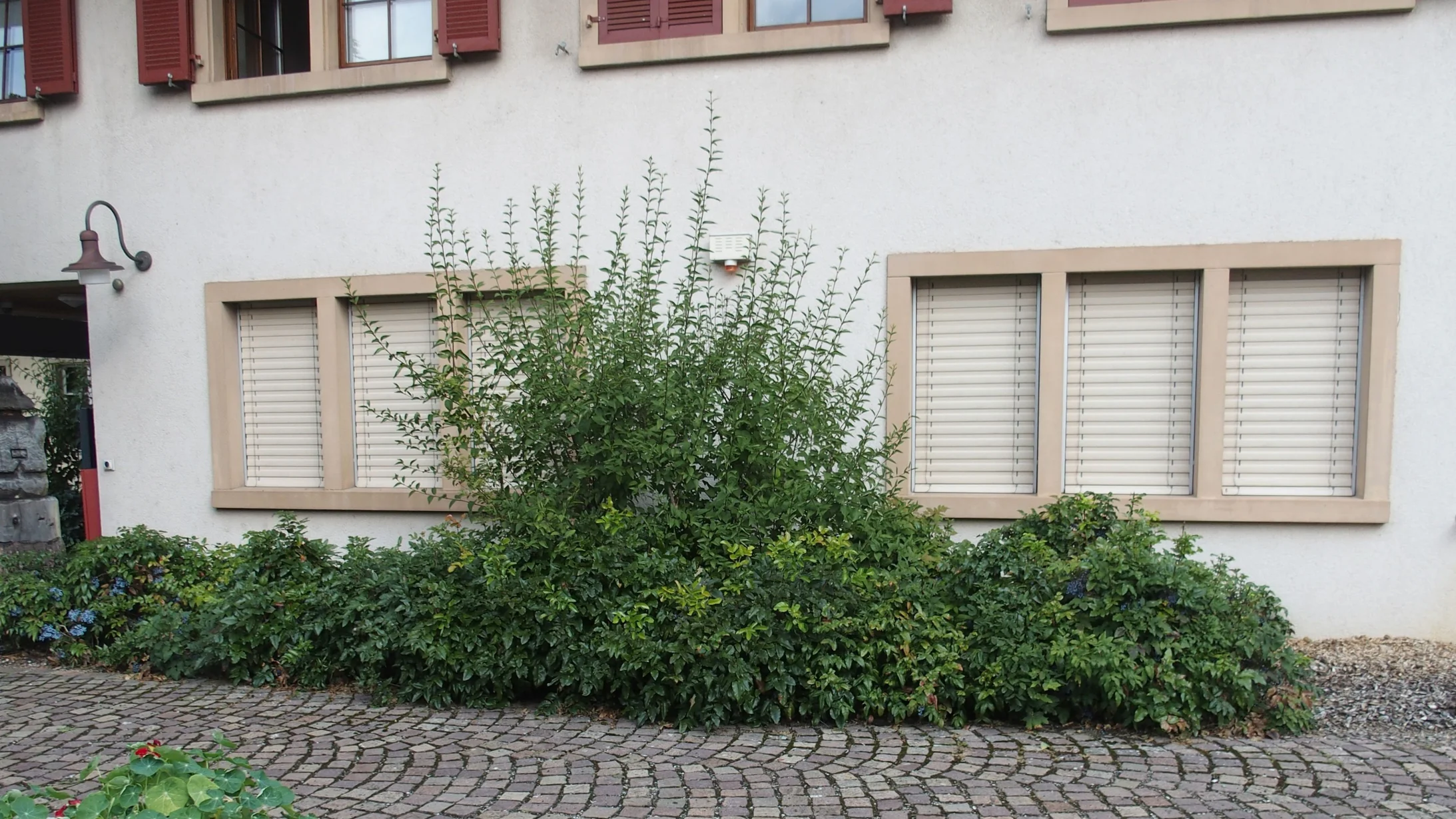 Gemeindehaus in Wölflinswil