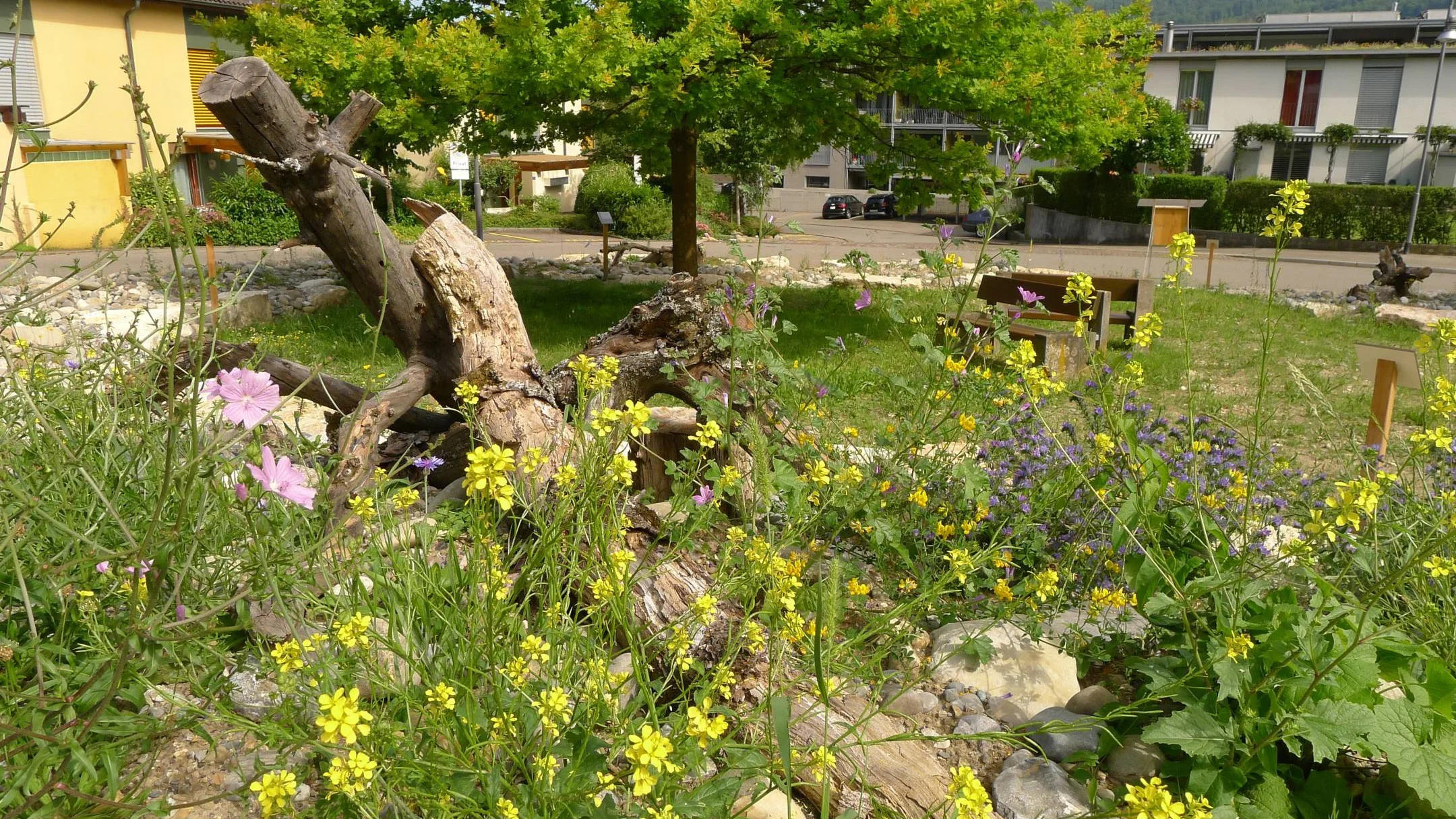 Schellenackerplatz in Baden