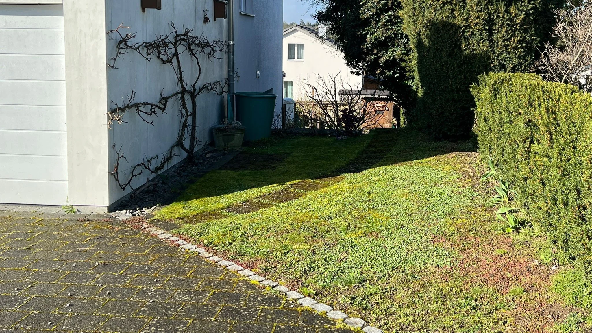 eintönige Rasenfläche an der Alten Wildeggerstrasse in Niederlenz