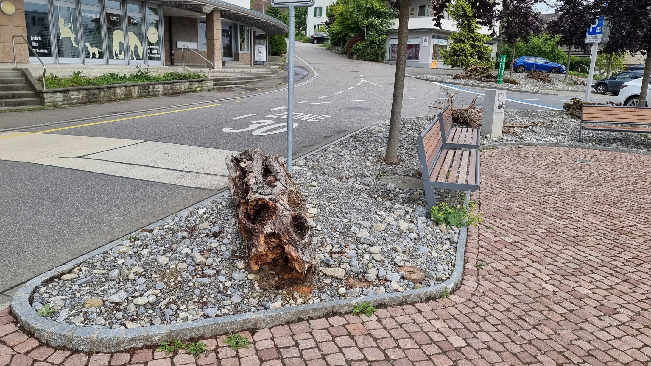 Neue Ruderalfläche mit baldiger Blütenpracht