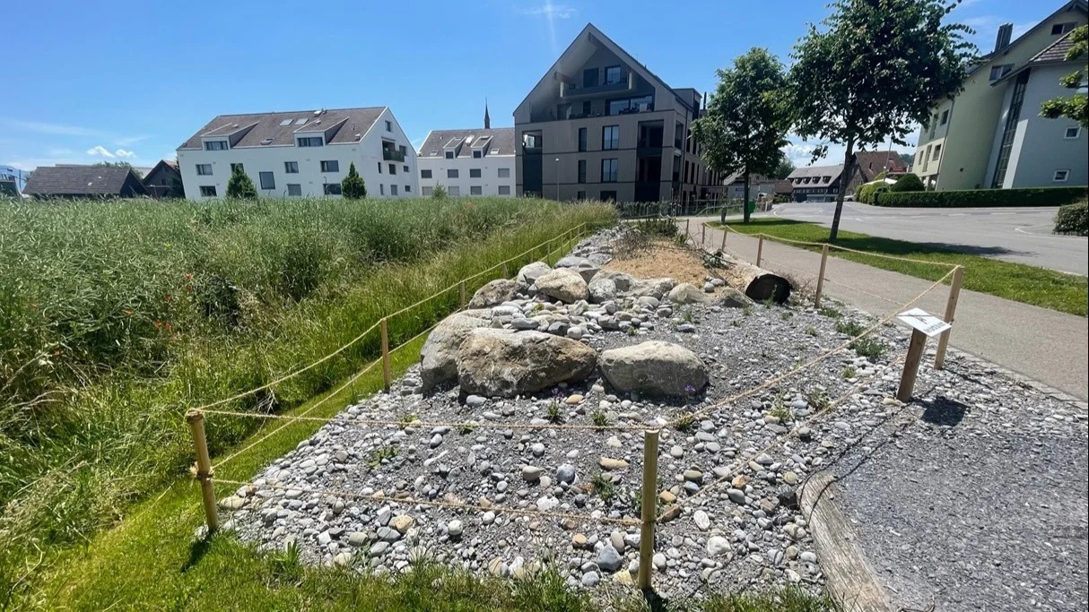 Ruderalfläche mit Feldsteinhaufen am Siedlungsrand in Auw