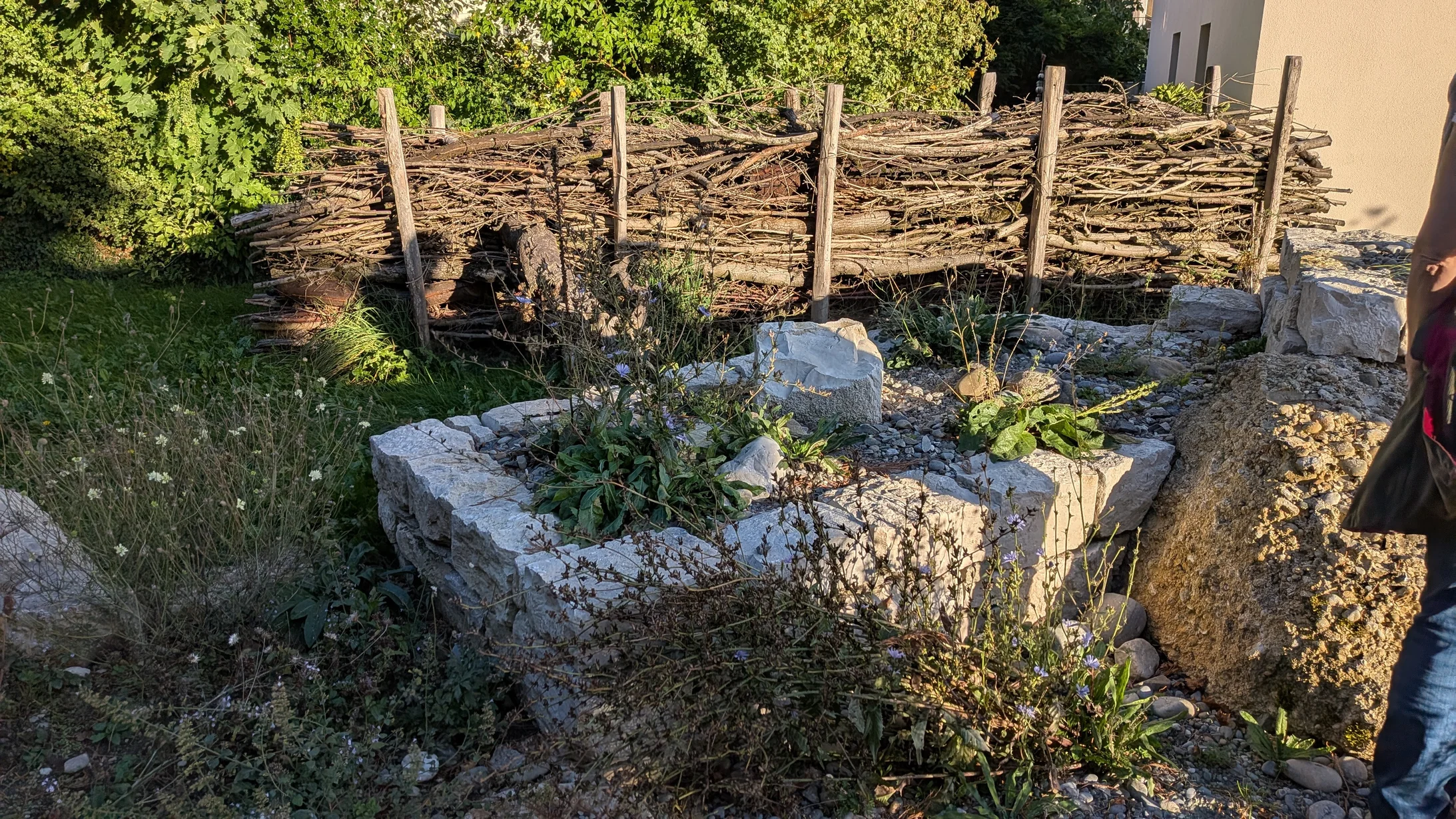 Benjeshecke und Steinmauer Benjeshecke und Steinmauer