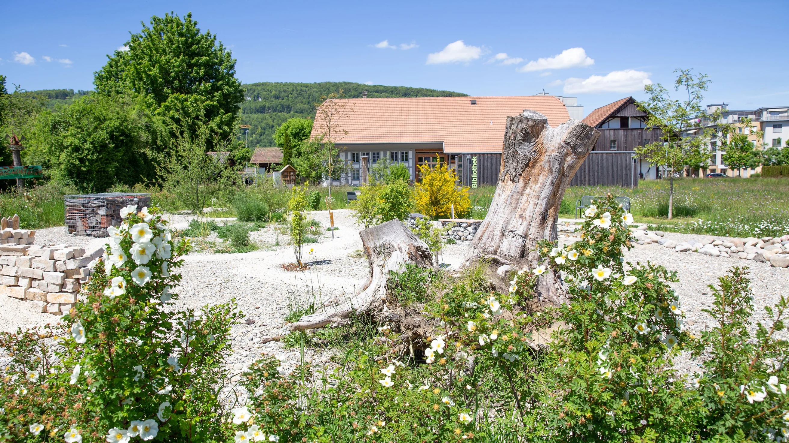 Schaugarten Miescherheimet in Rothrist (Foto © Stefanie Würsch) Schaugarten Miescherheimet in Rothrist