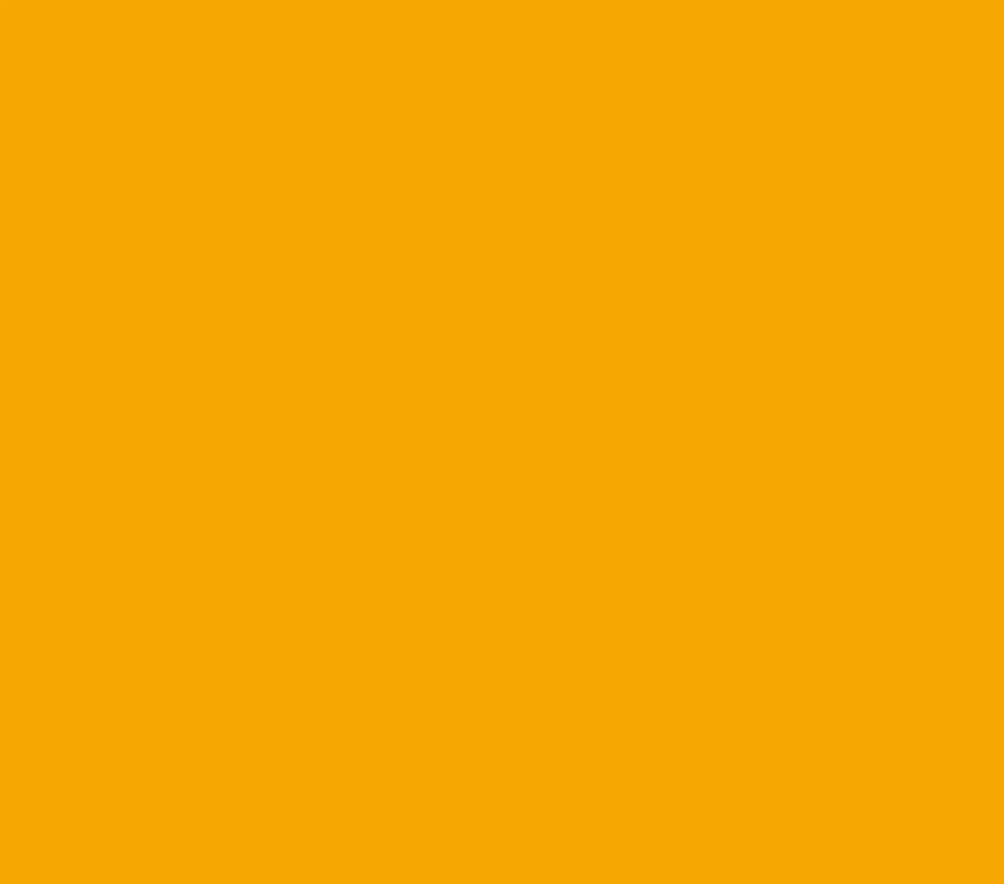 NATUR FINDET STADT orange