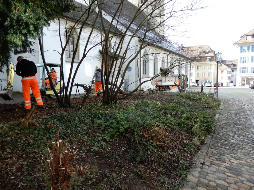 Projektstart in Zofingen