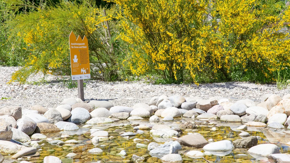 Schaugarten "Miescherheimet" in Rothrist