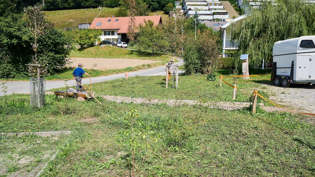 Blumenwiese in Unterkulm