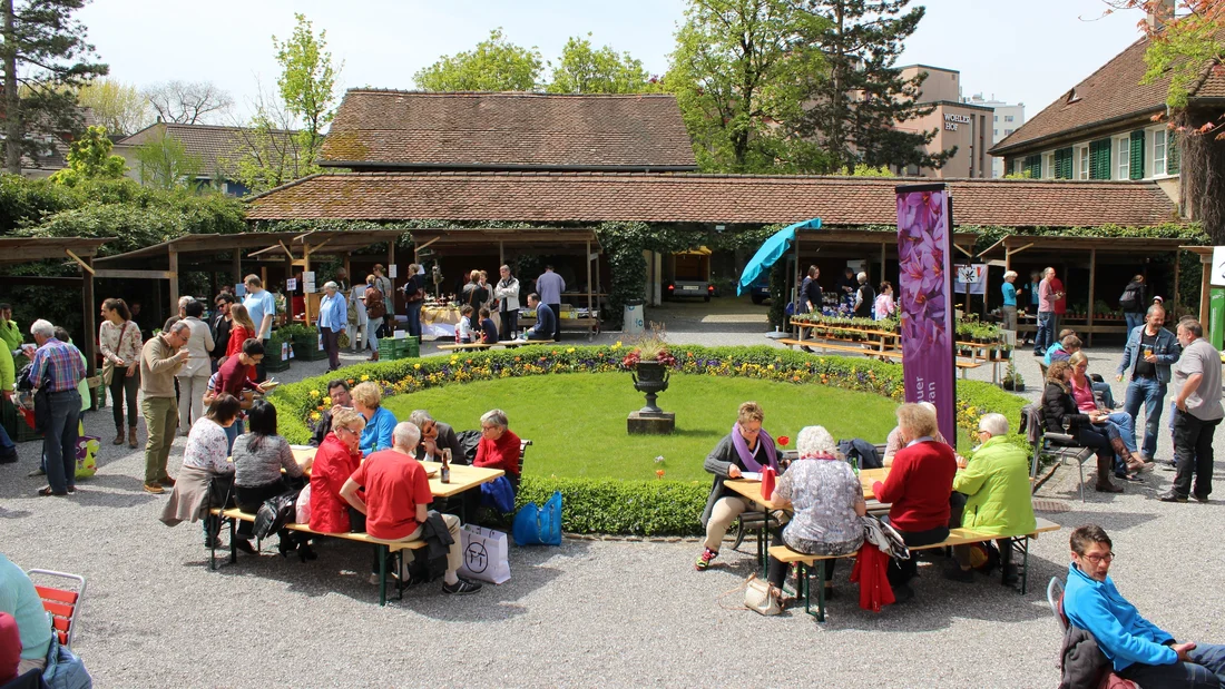 Naturmarkt in Wohlen