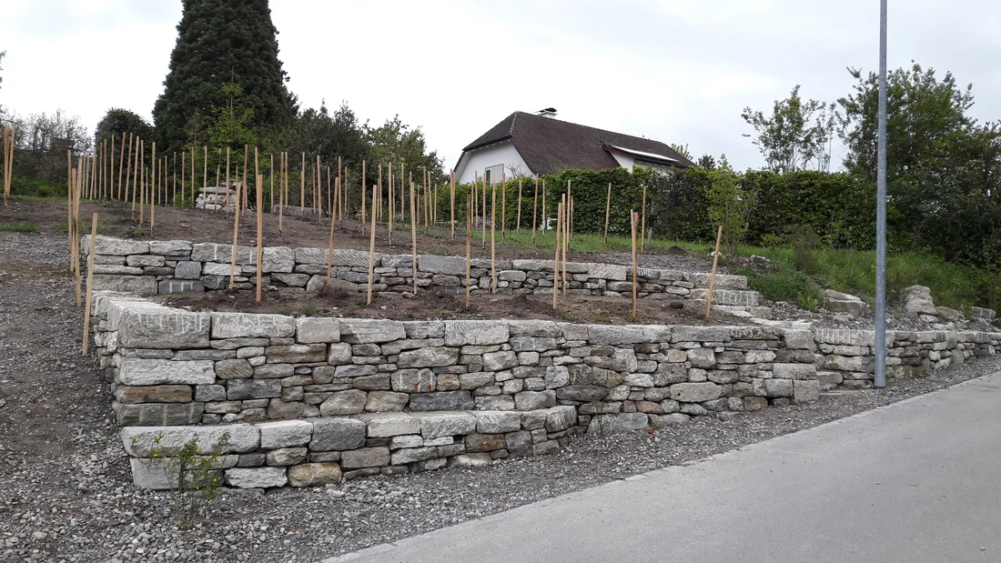 Trockensteinmauer in Wohlen