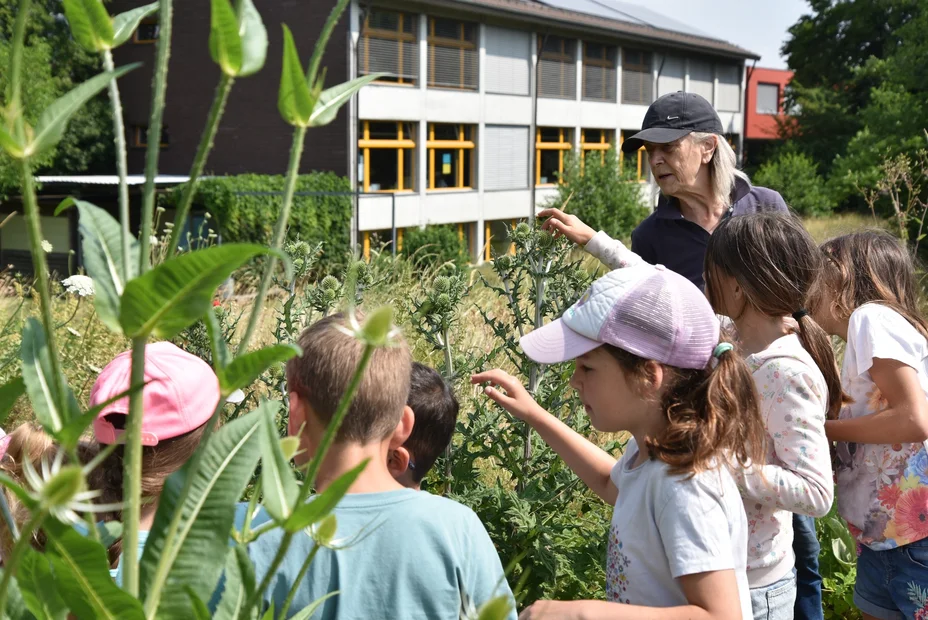 Impressionen Schulgarten