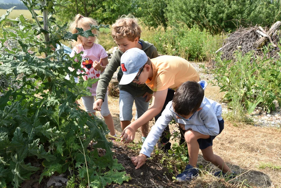 Impressionen Schulgarten