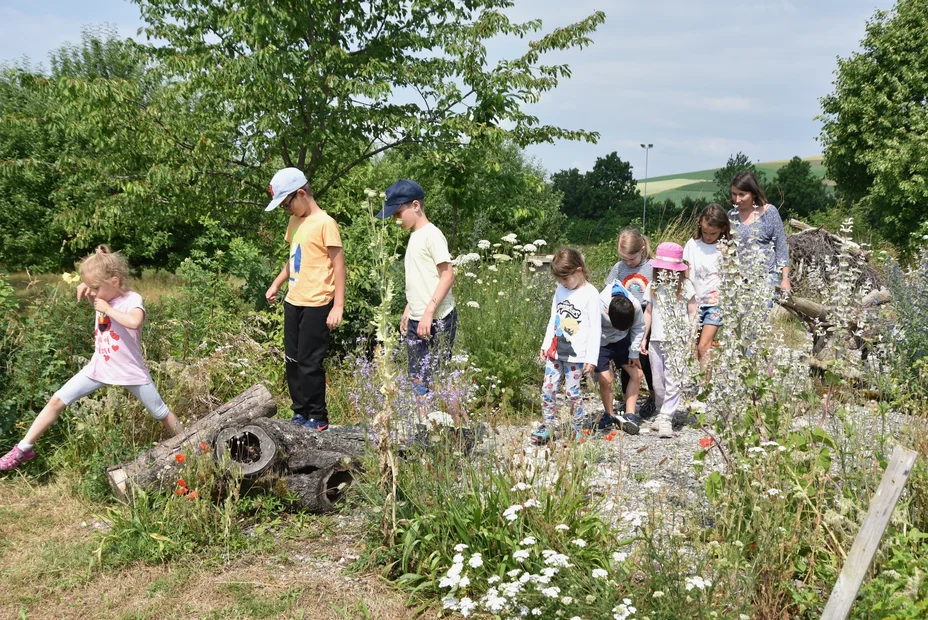 Impressionen Schulgarten