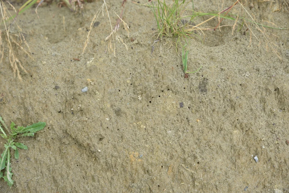 Impressionen Schulgarten