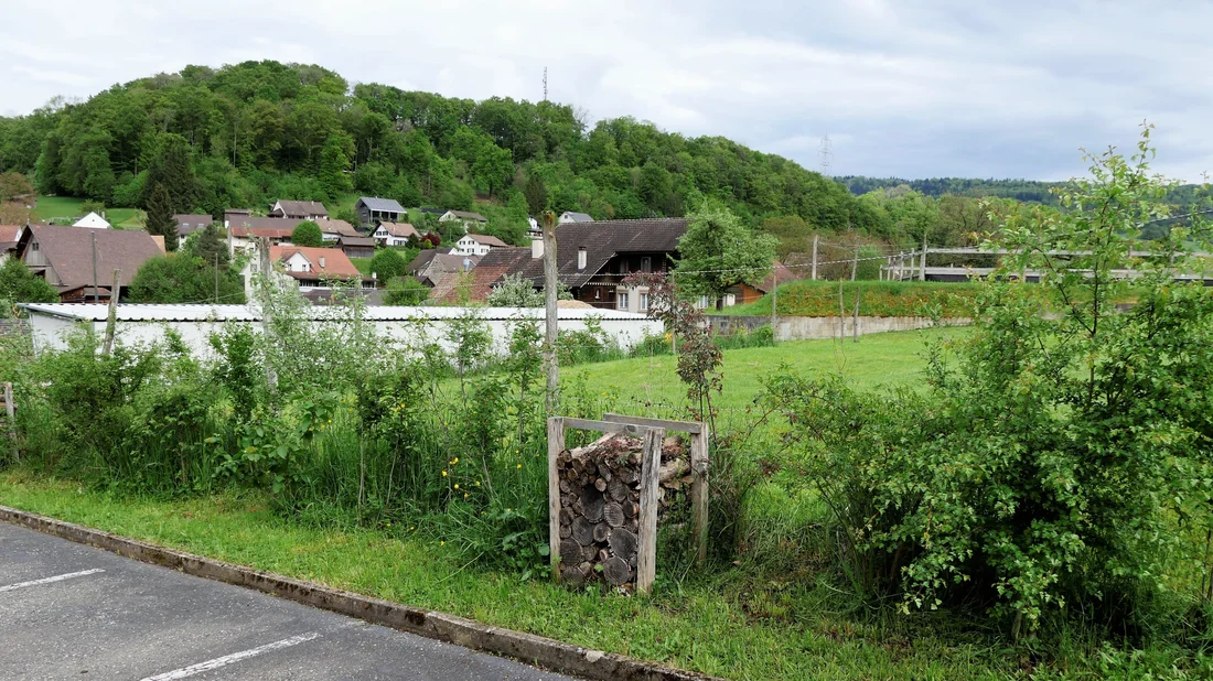 Hecke als Futter-, Nist- und Ruheplatz für Tiere in Hellikon