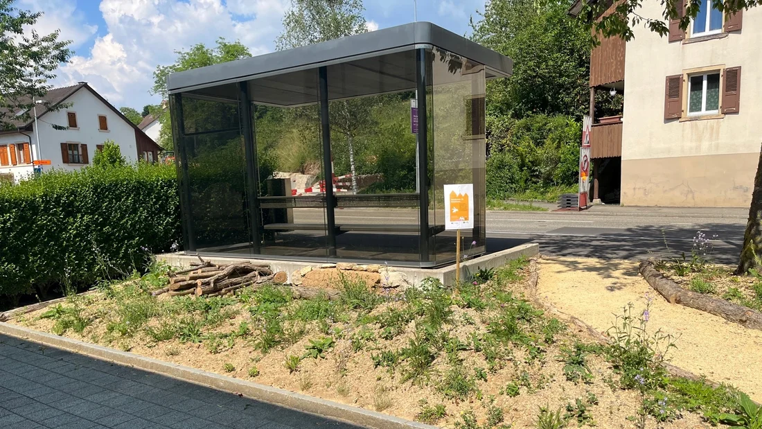Startanlass in Zeiningen