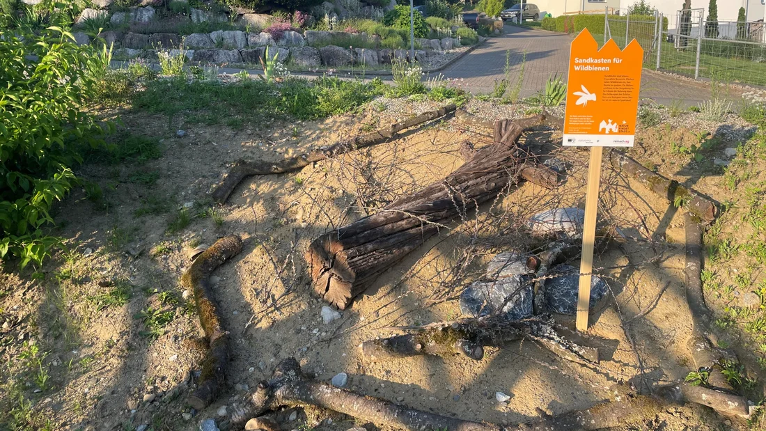 neu angelegter Naturgarten der Stiftung Lebenshilfe im Mai 2023