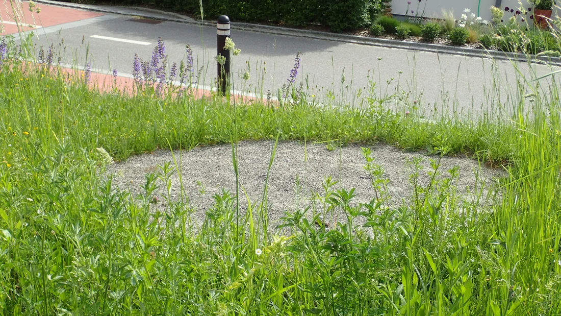 Naturmodul Gabelung Burghaldeweg-Kirchbergstrasse in Küttigen