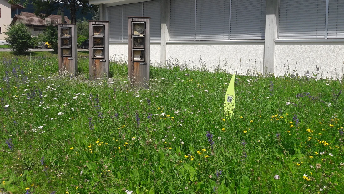 Naturmodul Gemeindehaus in Küttigen