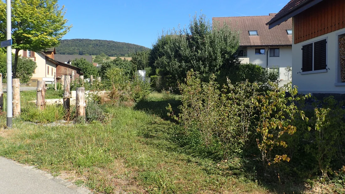 Naturmodul Gabelung Kirchbergstrasse-Bollackerweg in Küttigen