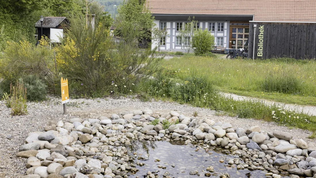 Weiher im Schaugarten Miescherheimet in Rothrist