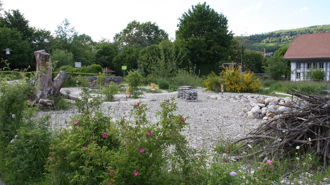 verschiedene Strukturelemente im Schaugarten Miescherheimet in Rothrist