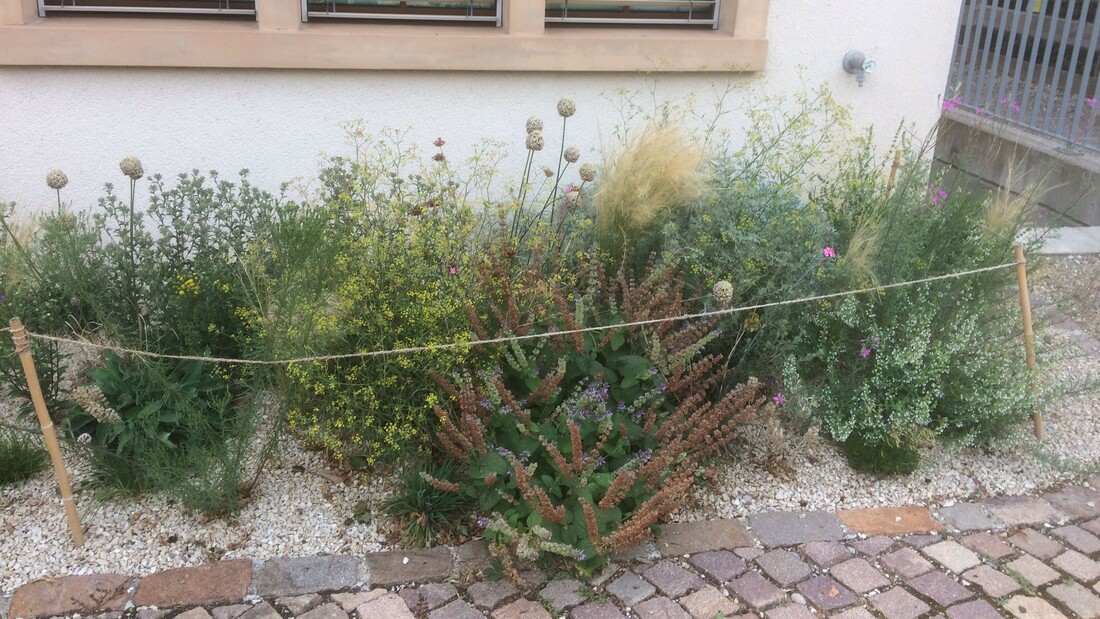 Blumenrabatte beim Gemeindehaus in Wölflinswil