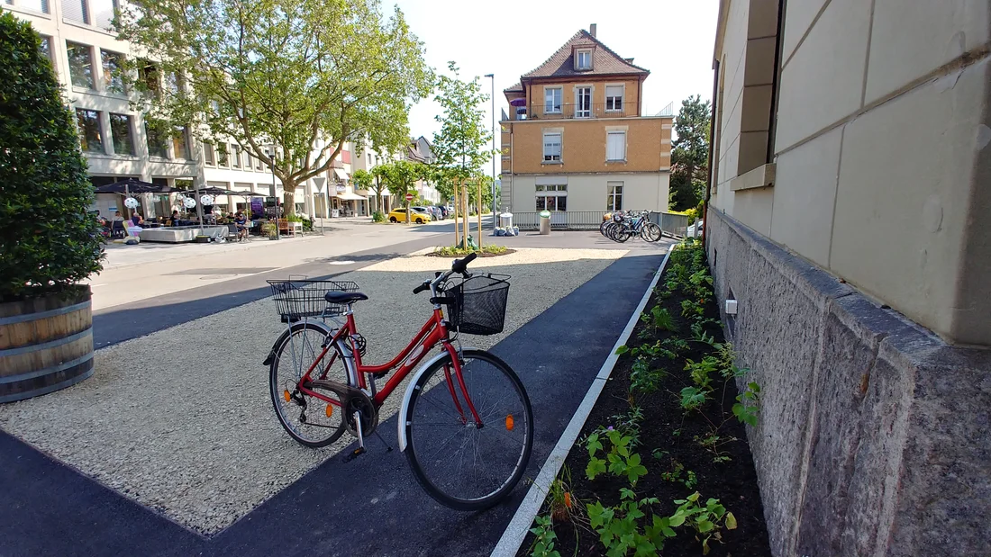 Wildblumenbeet beim Begegnungsort Schulthess-Allee