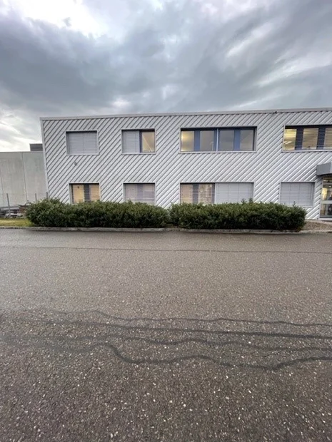 ursprüngliche Rabatte beim Posten der Regionalpolizei mit Kirschlorbeer