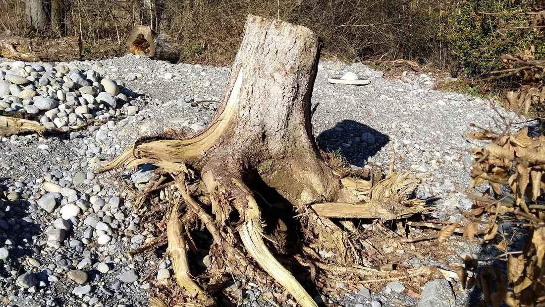 Menziken NATUR FINDET STADT