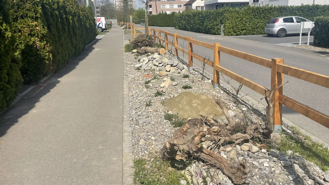 fertiggestellte ökologische Aufwertung am Chrüzweg im April 2024