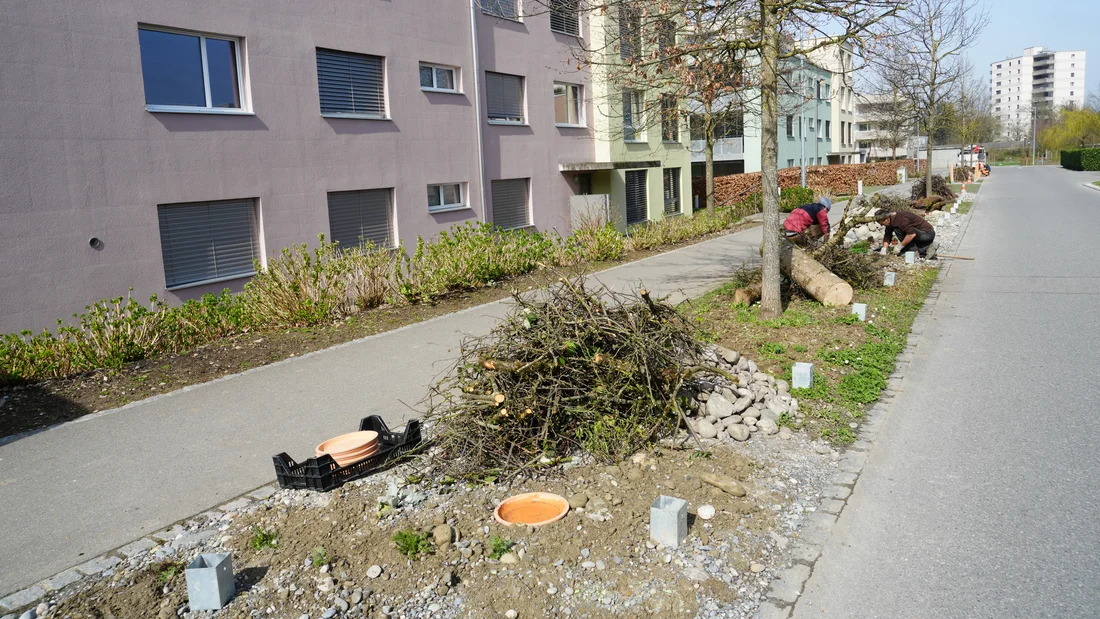 Chrüzweg während der ökologischen Aufwertung im März 2024