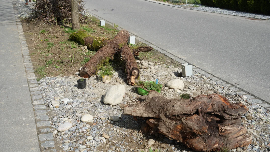 Aufwertung am Chrüzweg in Staufen im März 2024