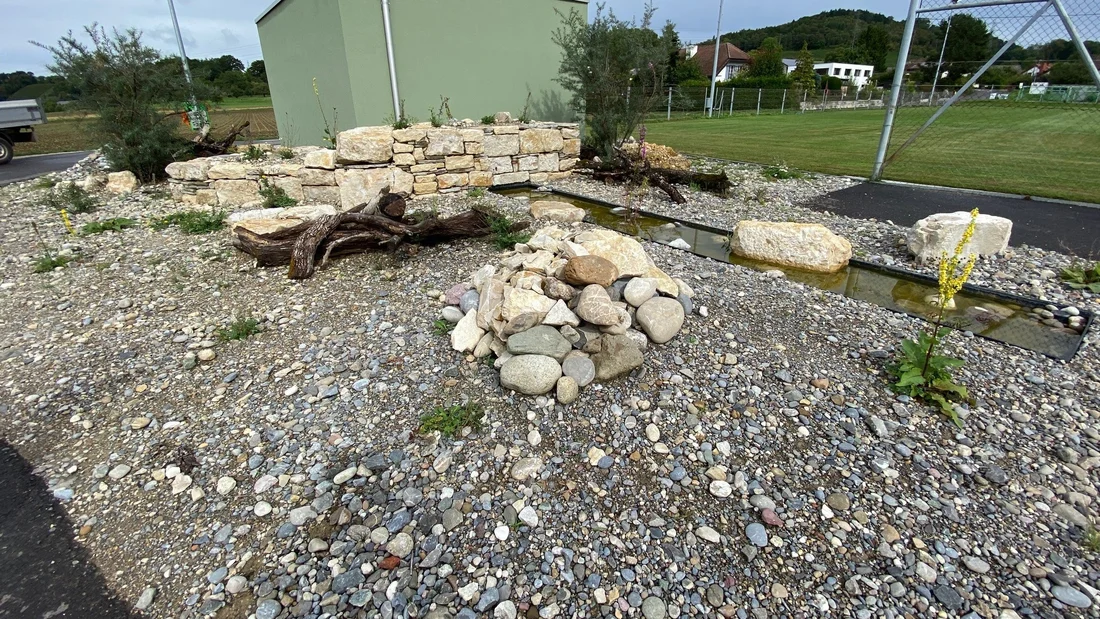 naturnahe Auwertung beim Sportplatz in Würenlingen
