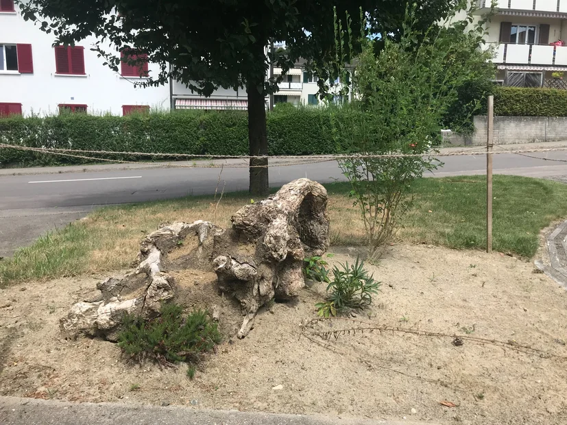 Bieneninsel
