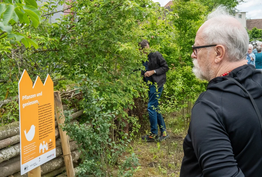 Ein Besucher liest den Infotext bei der Hecke.