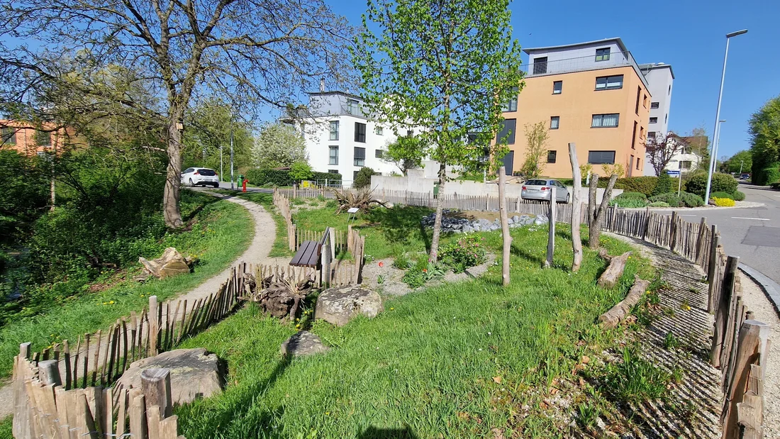Fläche für erdnistende Wildbienen