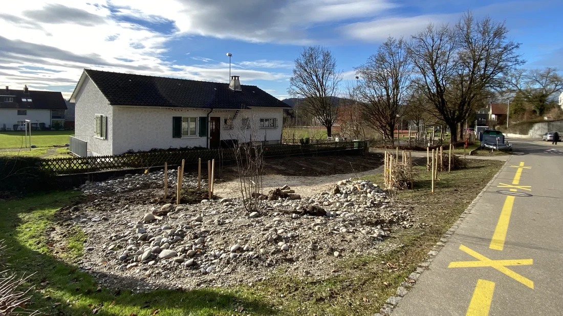Wiesenaufwertung in Birmenstorf
