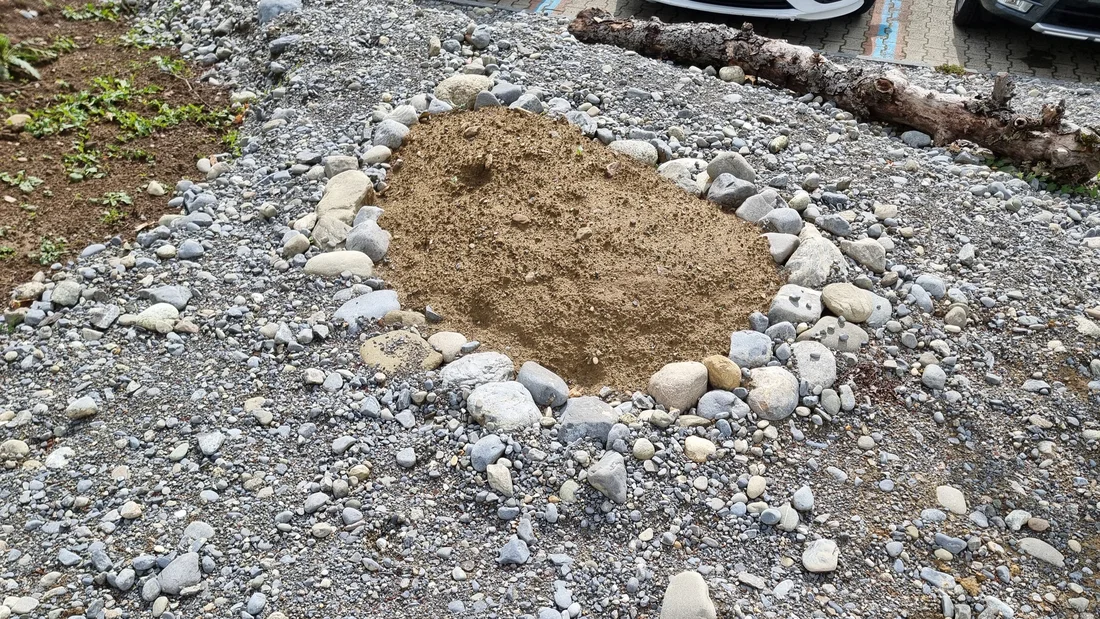 Sandlinse für erdnistende Wildbienen