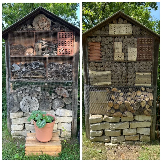 Wildbienenhotel vorher-nachher