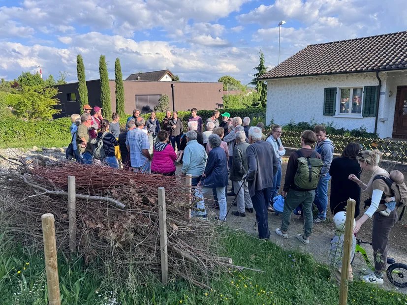 Besichtigung Fläche 2: Oberhardstrasse 20