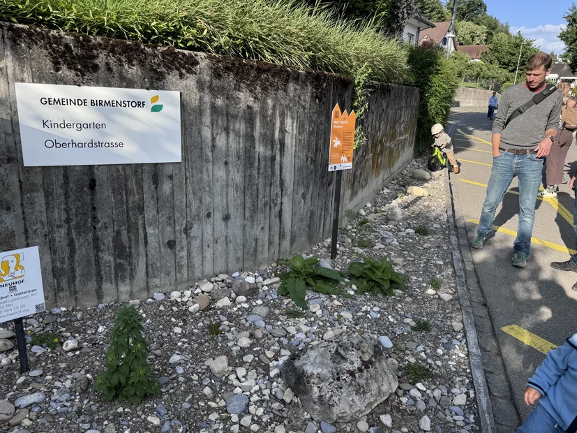 Fläche 3: Ruderalfläche vor Kindergarten