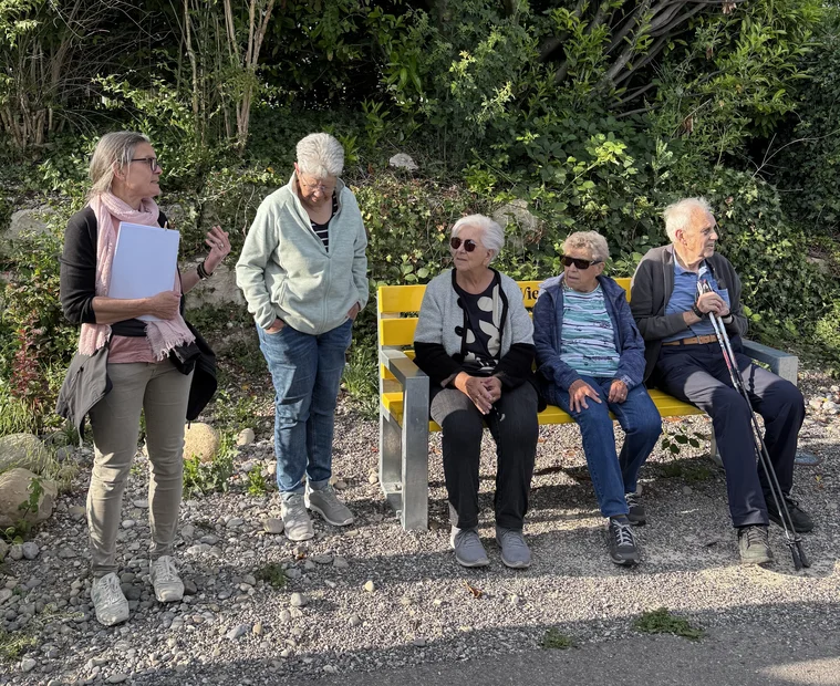 Erläuterungen der Projektleiterin zur Fläche