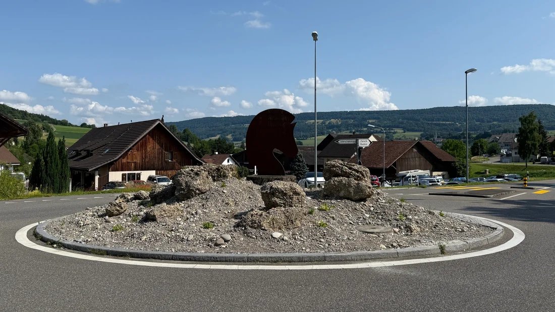 Ruderalkreisel