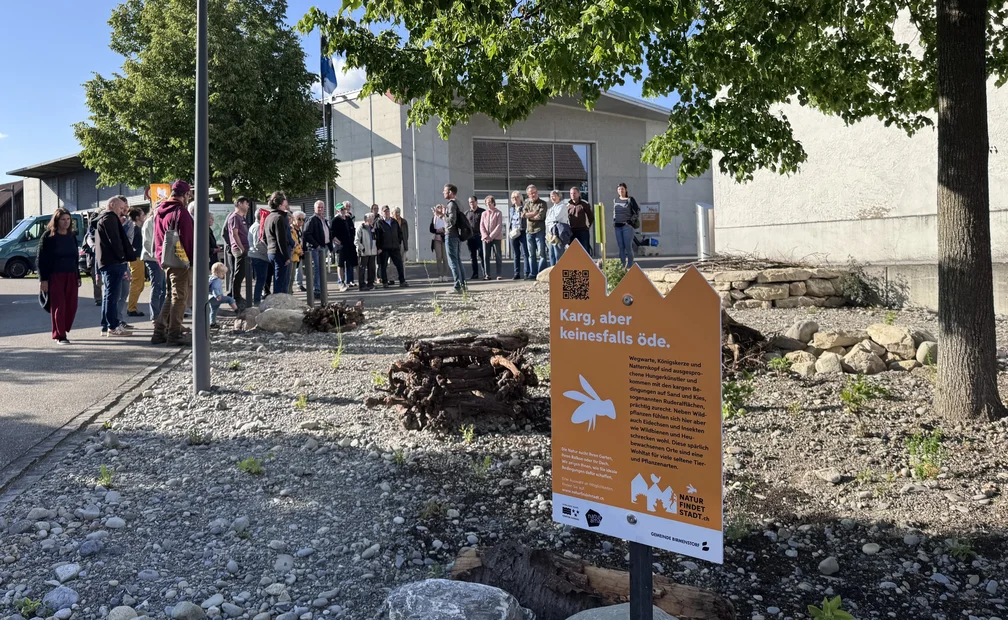 Erläuterungen bei der Ruderalfläche vor dem Gemeindehaus