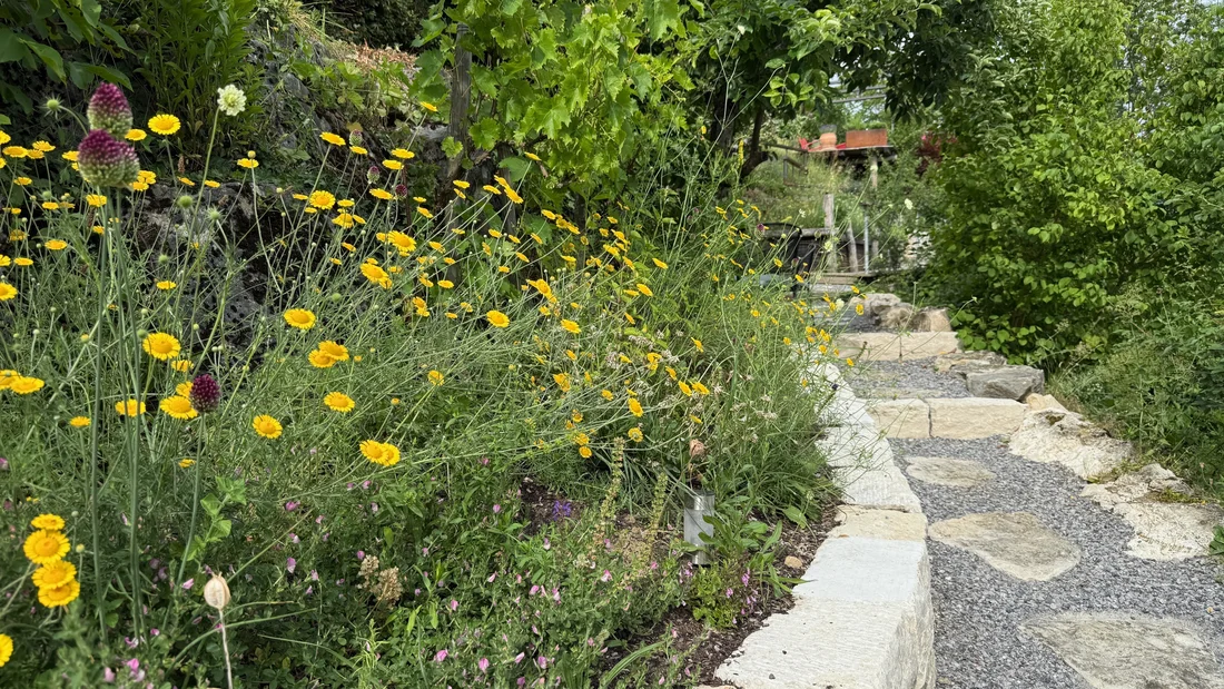 Gartenapéros Schneisingen