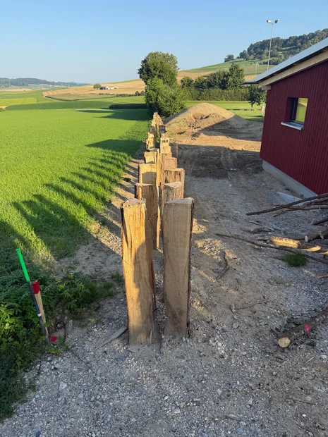 Totholzhecke entsteht