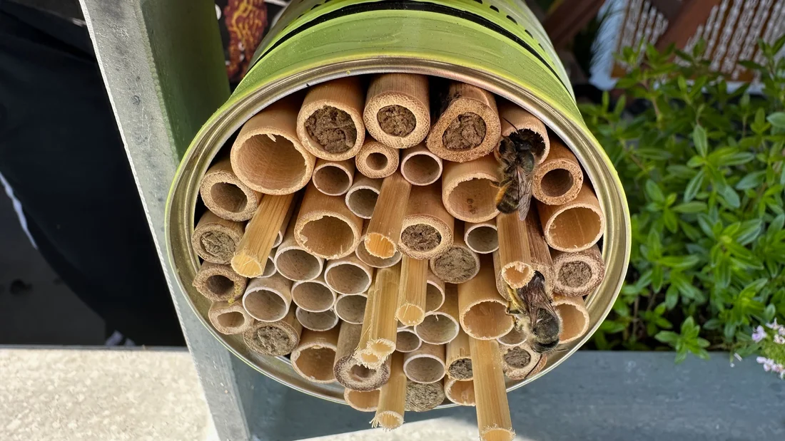 Gartenapéro Balkon