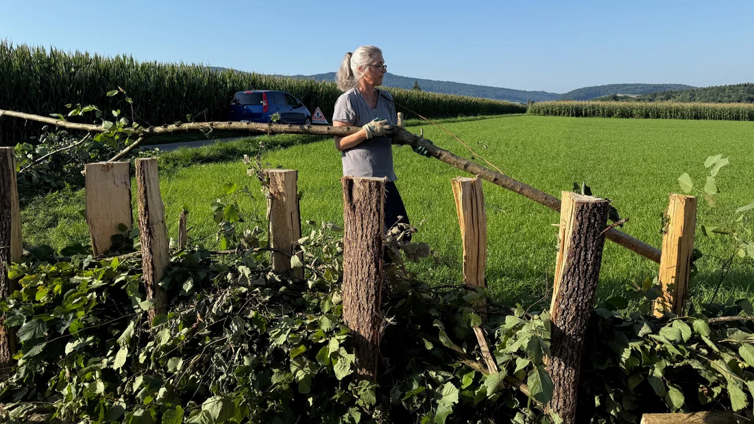 Totholzhecke entsteht