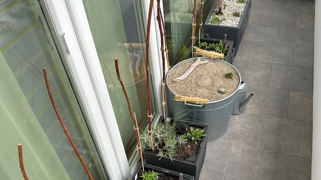 Gartenapéro Balkon